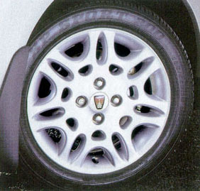 Coronet Multispoke