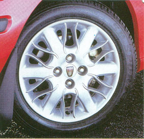 Serpent Multispoke