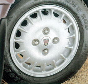Luxury Multispoke