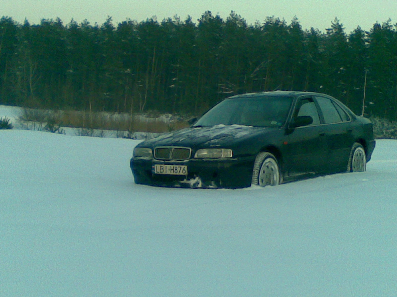 rover-kowanie borys(a)876