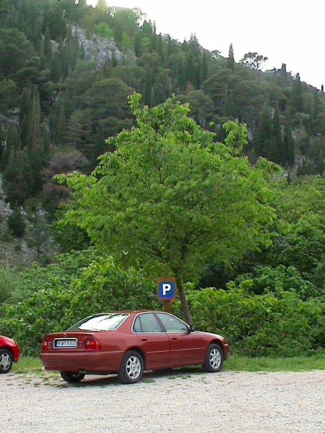 big_056_roverek_krka1.jpg