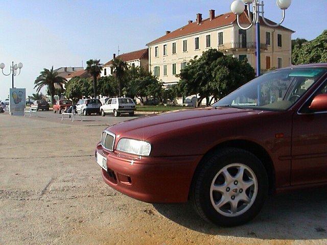 big_075_roverek_palmy.jpg