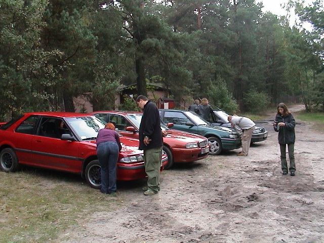 Wilga_04.jpg