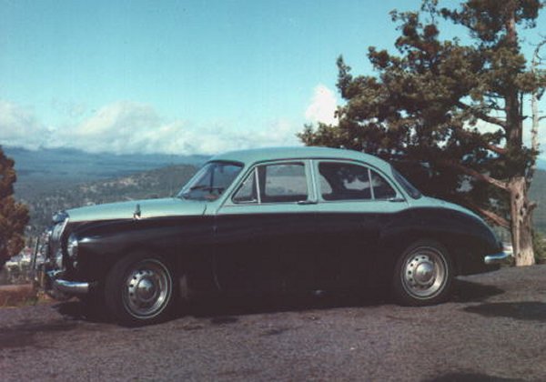 magnette_14.jpg