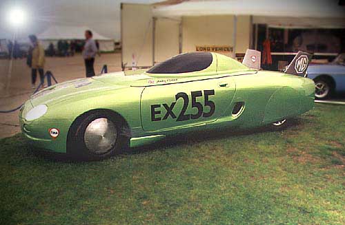 f_ex255_01.jpg