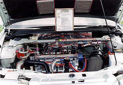 montego_15.jpg