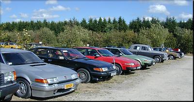 SD1_06.jpg
