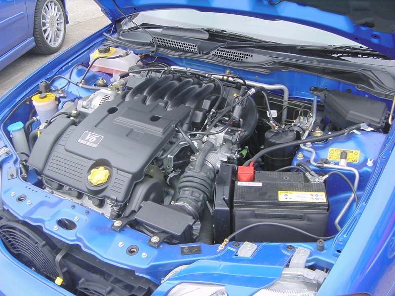 MG_ZS_23.jpg