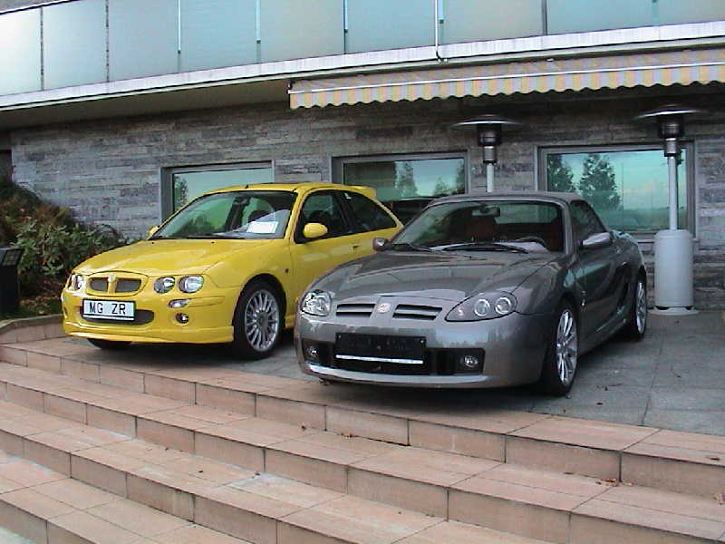 mg_zr_i_mg_tf.jpg