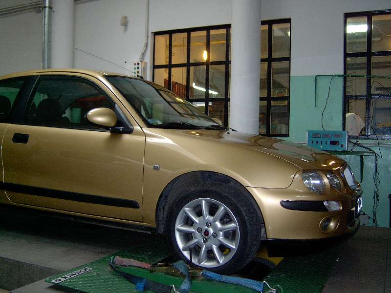 zloty_szerszen_irka.jpg