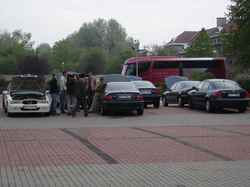 Synonim zlotu - podniesione kopary