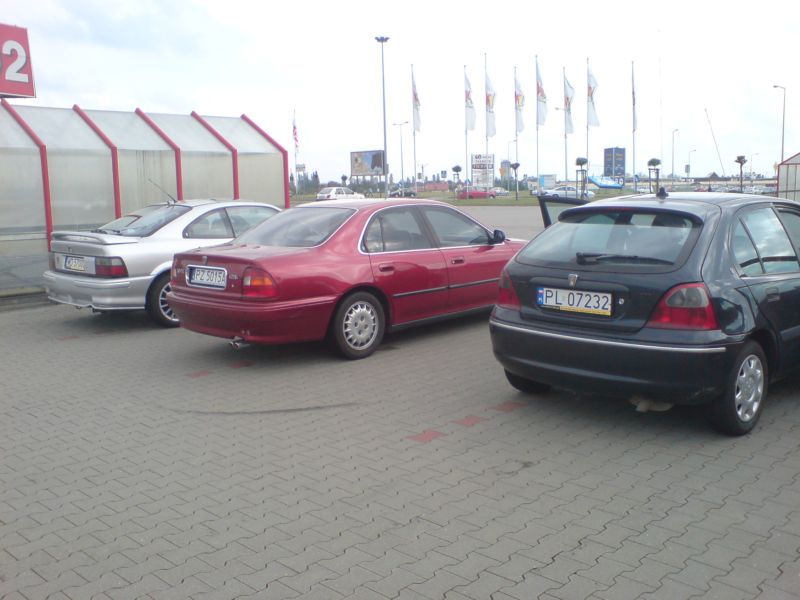 Lewe pol