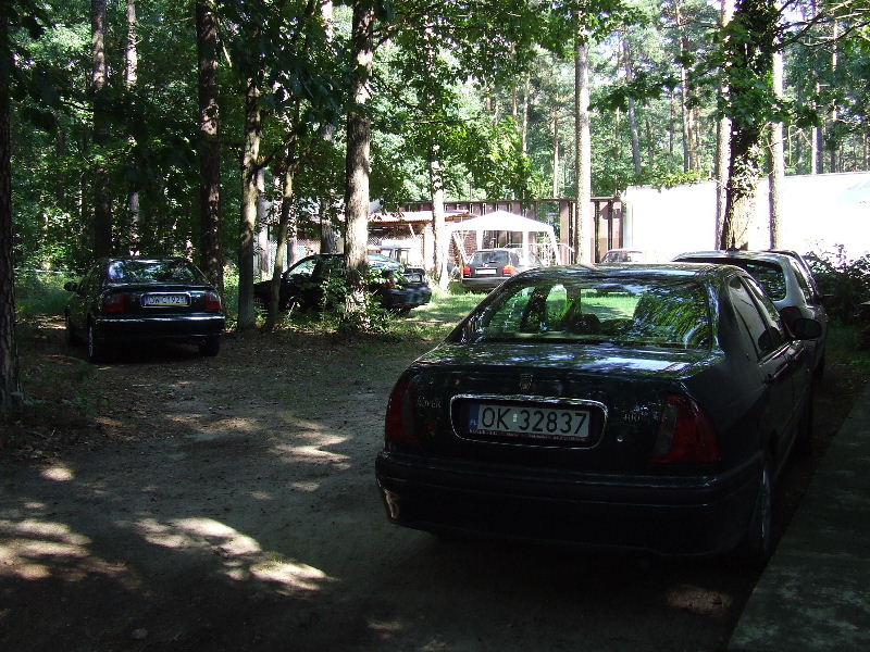 spot