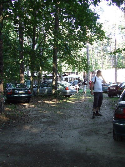 spot