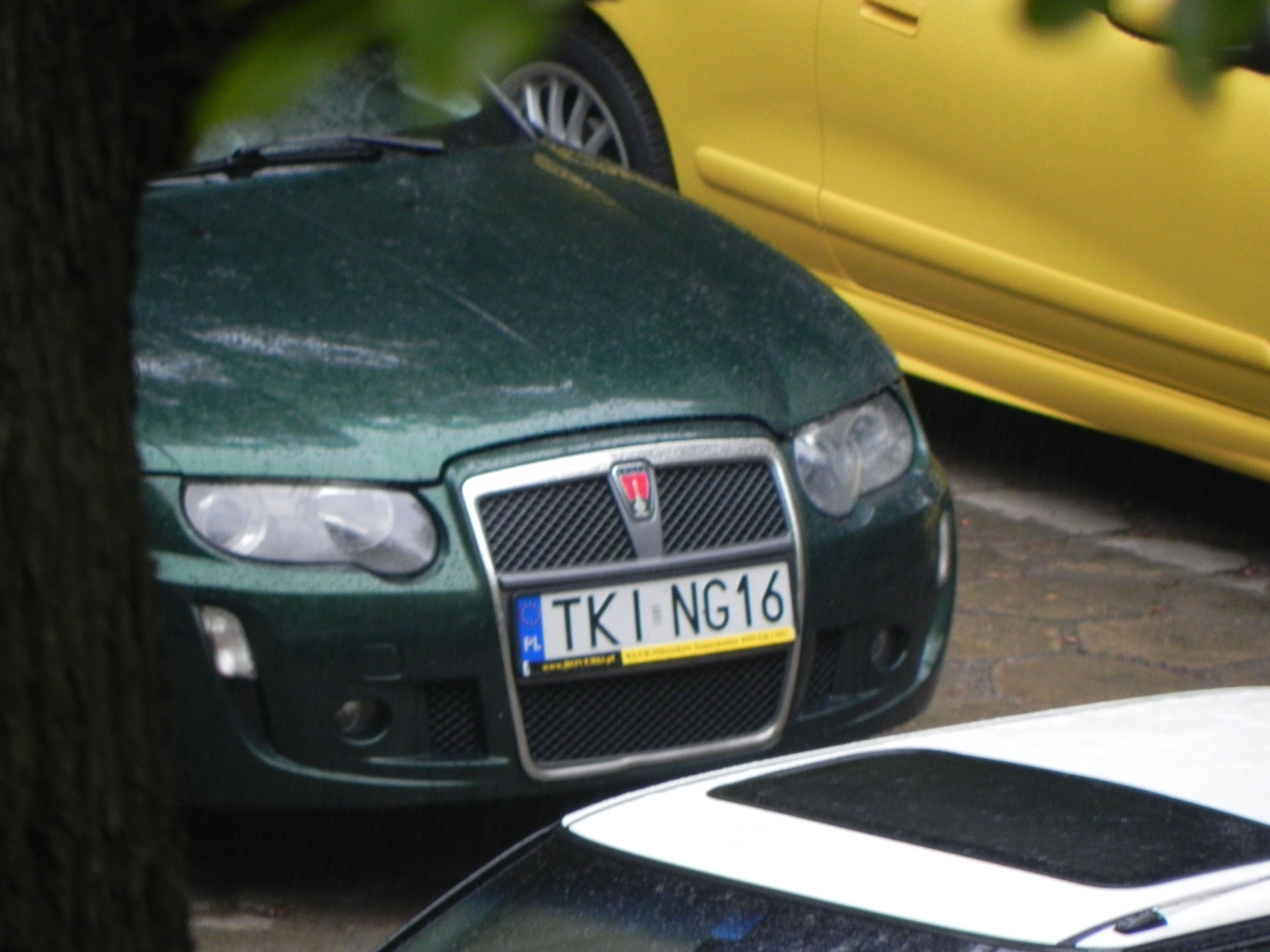 DSCN0960