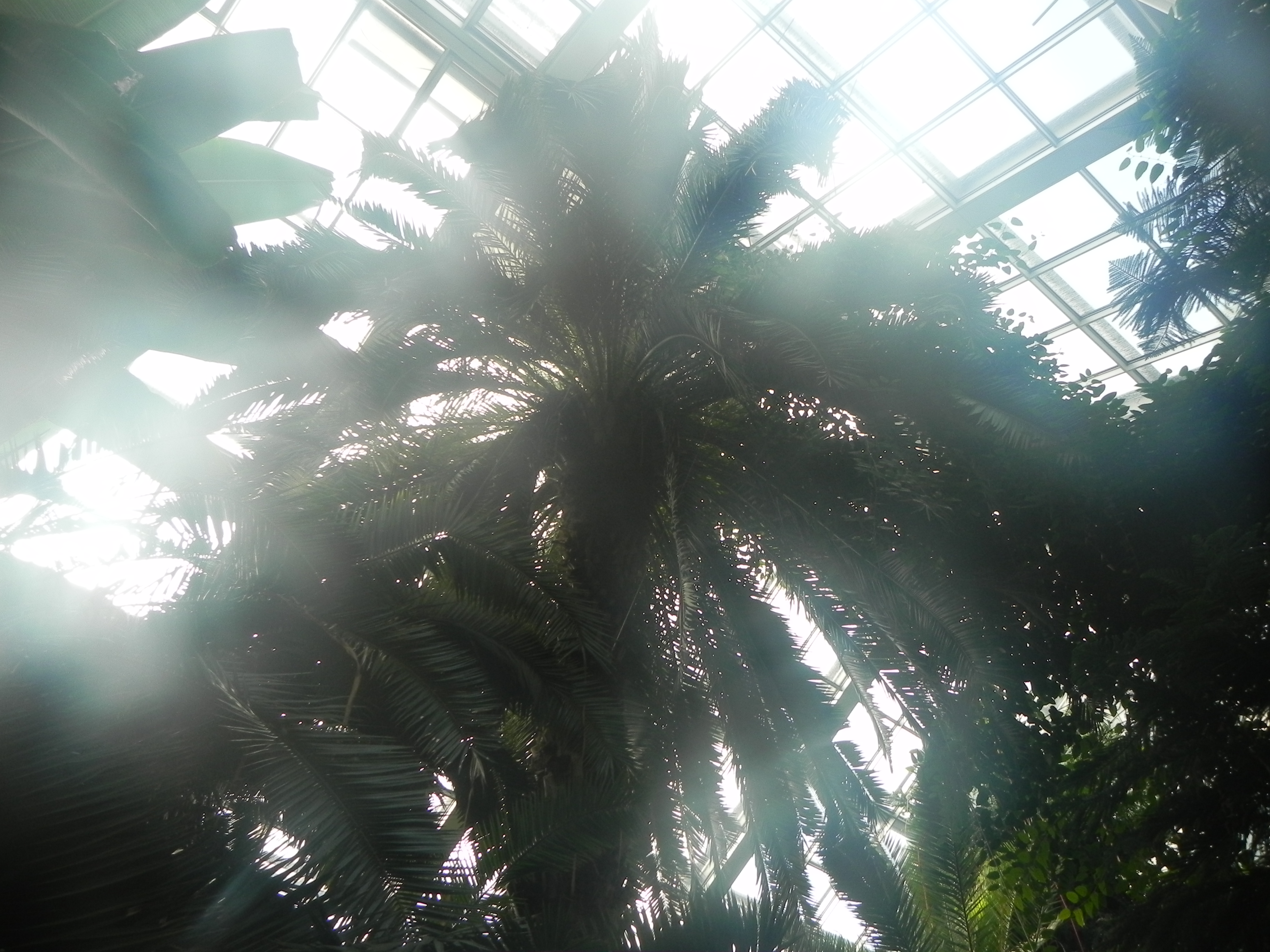 DSCN0981