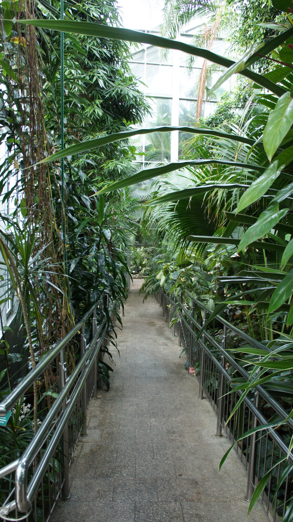 DSC05417