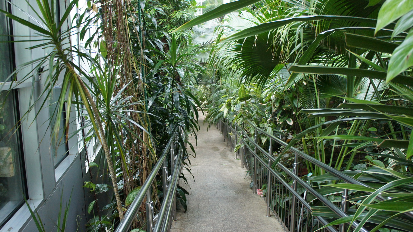 DSC05420