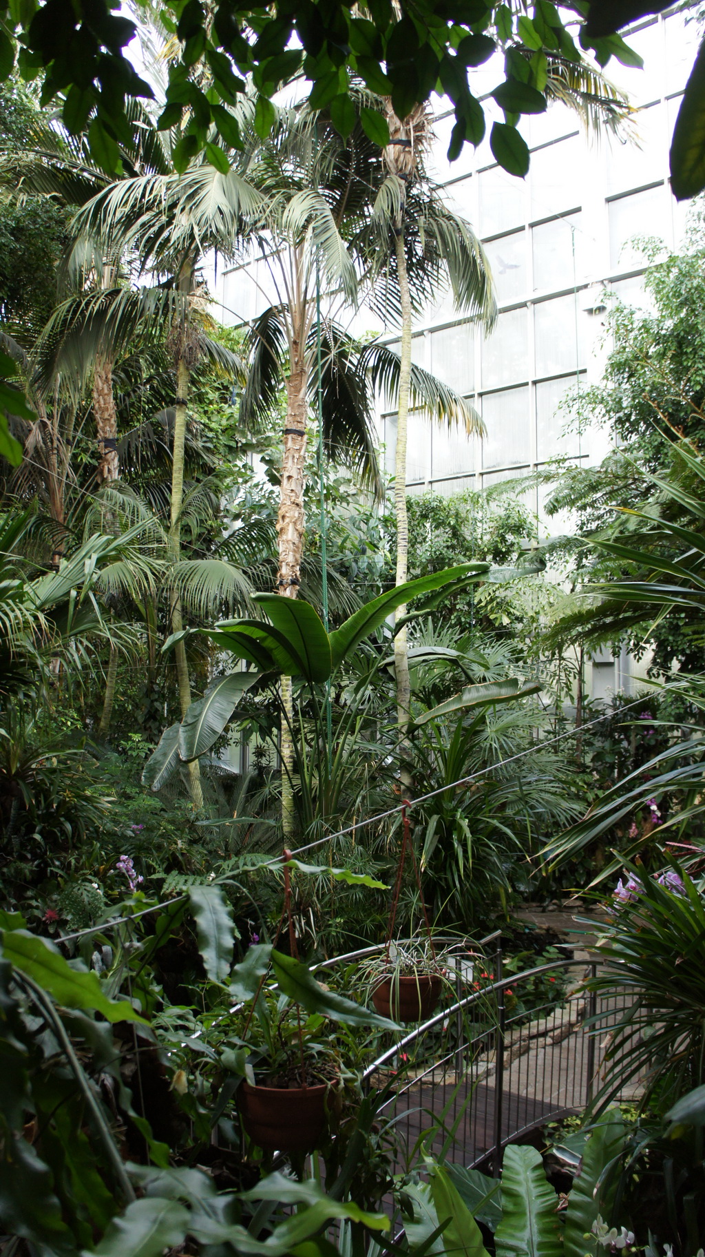 DSC05430