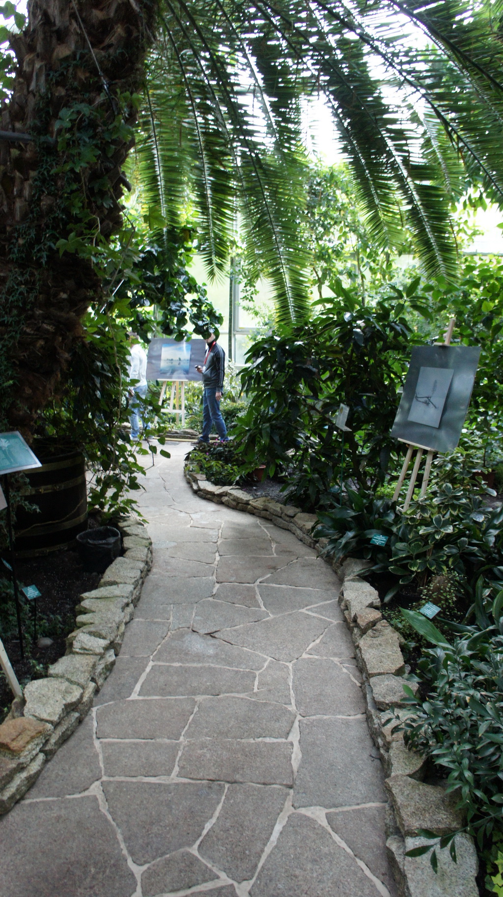 DSC05448