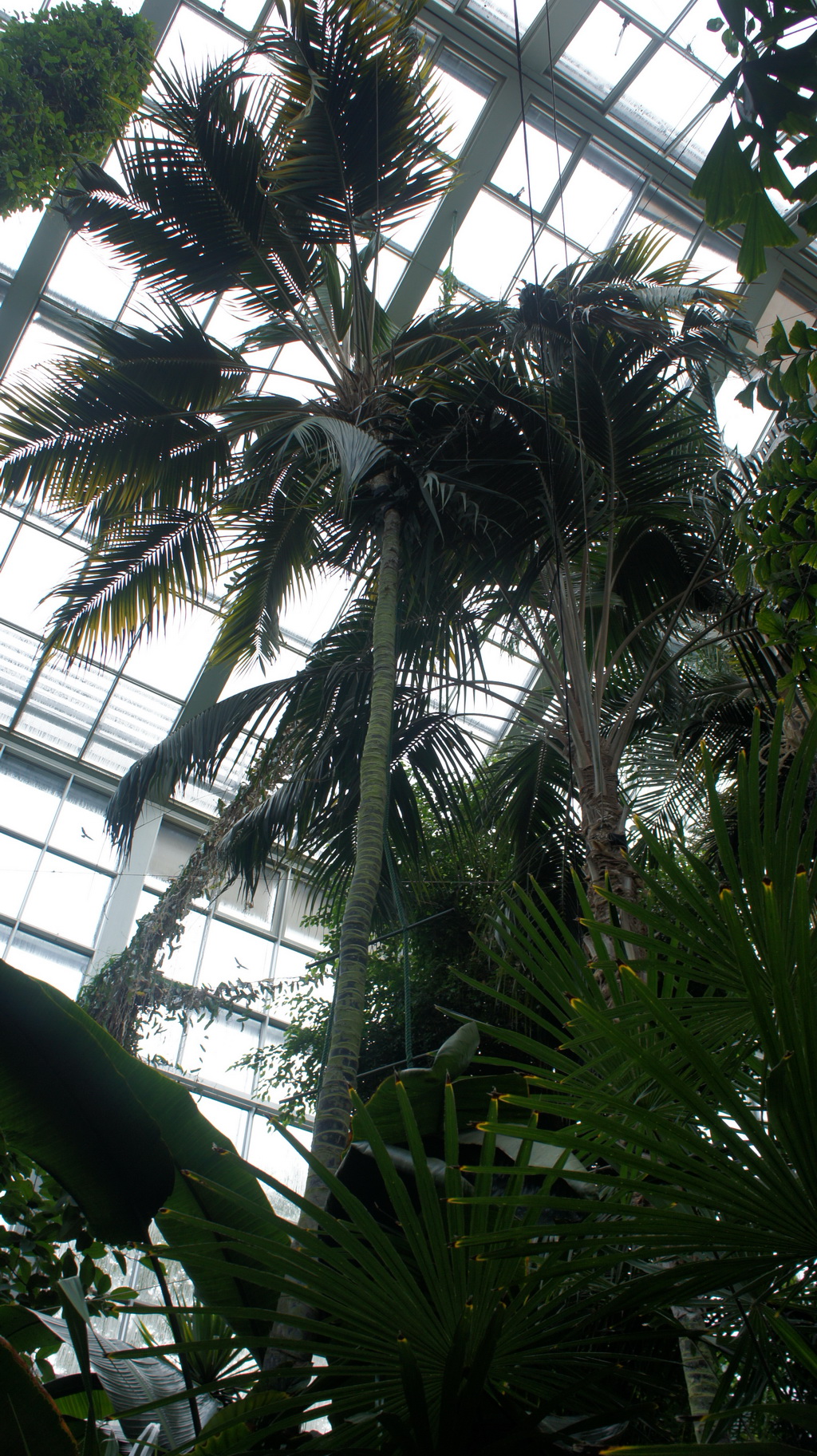 DSC05495